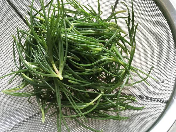 Spaghetti agli agretti con la salsa di umebohi