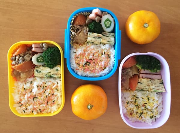 bento con riso e pietanze, la frutta a parte