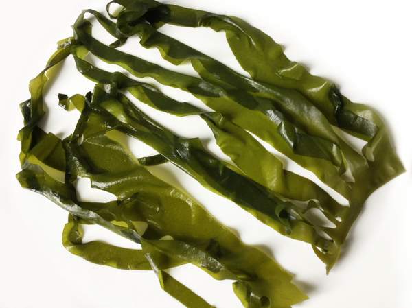 alghe wakame
