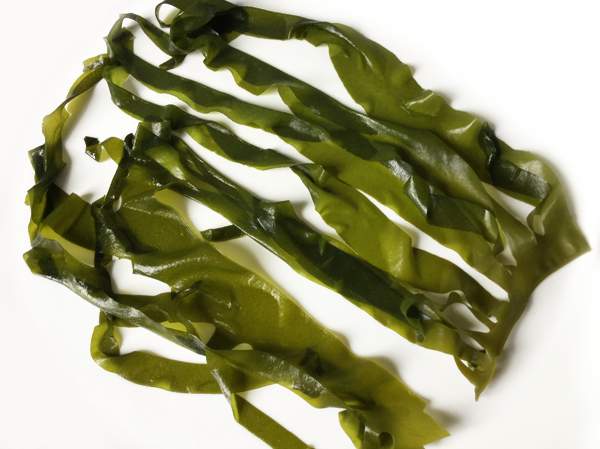 WAKAME (Alghe) - Una Giapponese in Cucina