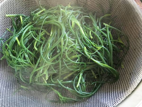 Tagliata di tofu con agretti alla salsa ponzu