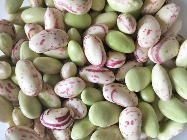 fagioli borlotti