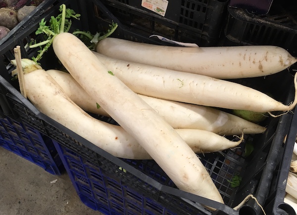 Daikon