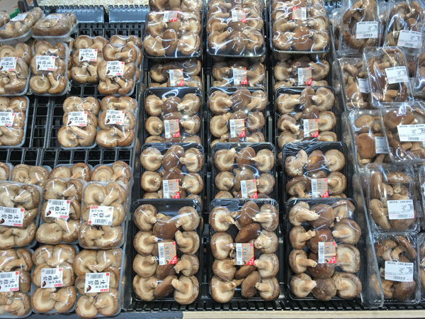 shiitake freschi nel supermercato (Giappone)