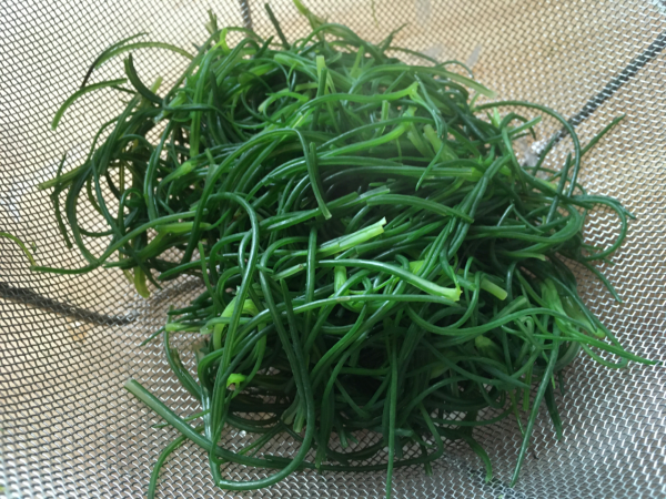 Insalata di agretti e daikon con fiocchi di tonno