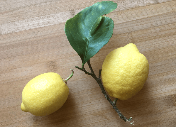 Limone sotto sale (Shiolemon)