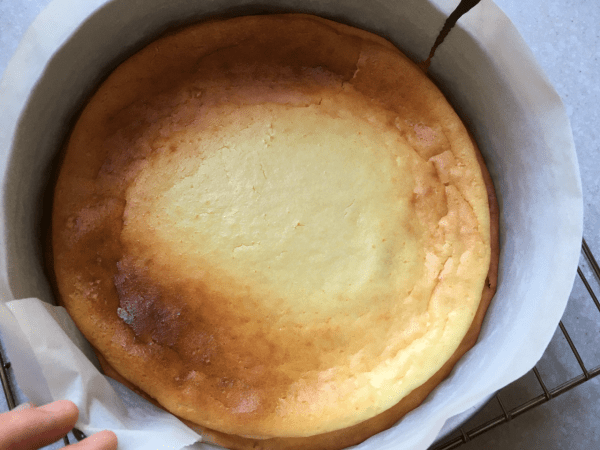 cheesecake cotto con farina di riso