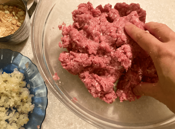 hamburger con daikon grattugiato alla salsa ponzu