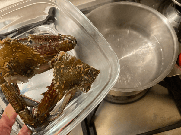 Brodo di granchio al miso