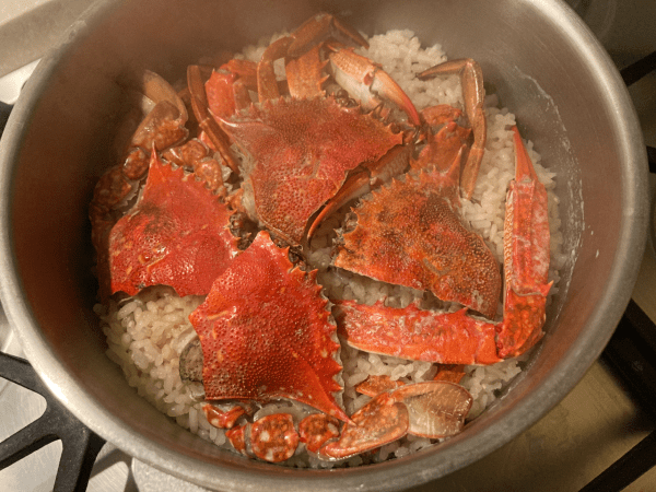 riso bollito con granchio