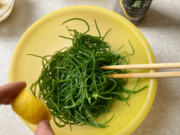 insalata di agretti e trippa alla salsa di yogurt e miso