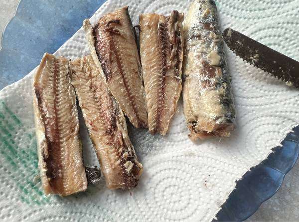 kabayakidon con sardine in scatola