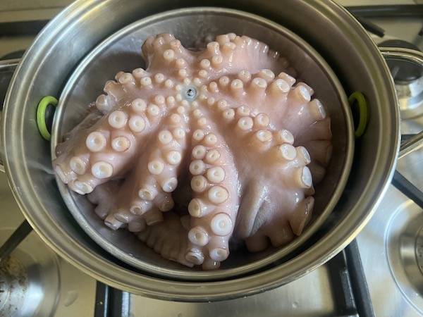 Polpo cotto al vapore (Mushidako)