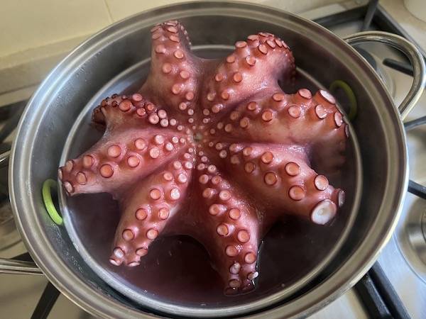 Polpo cotto al vapore (Mushidako)