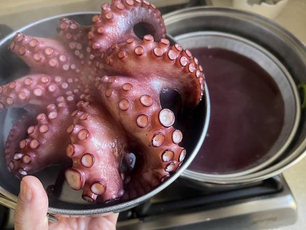 Polpo cotto al vapore (Mushidako)