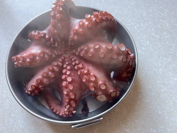 polpo cotto al vapore